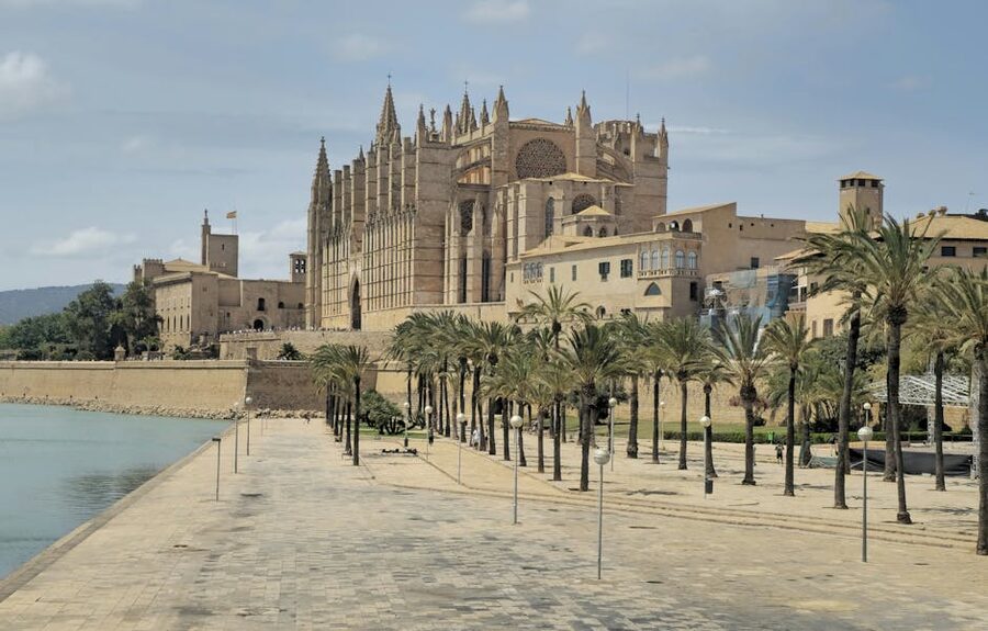 Palma Cathedral with palm trees on the seafront promenade