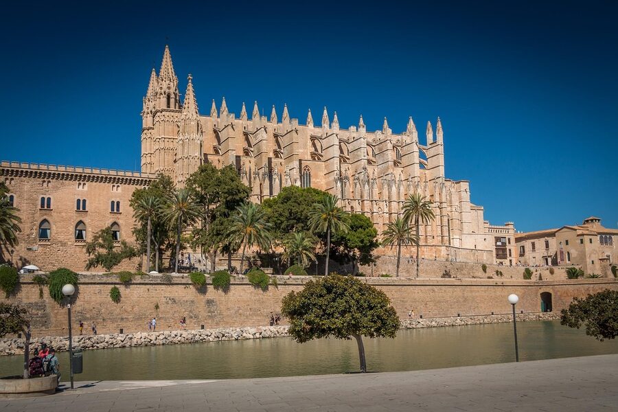 Palma cathedral framed by palm tree