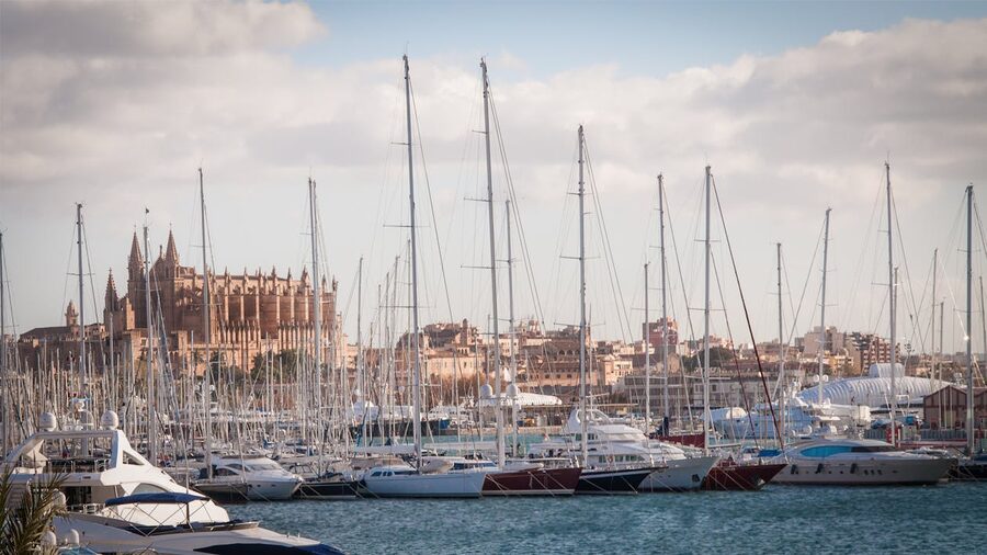 Palma marina with white yachts and cathedral behind
