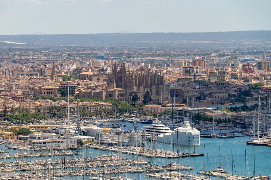 Is the Palma Hop-On Bus Worth It?
