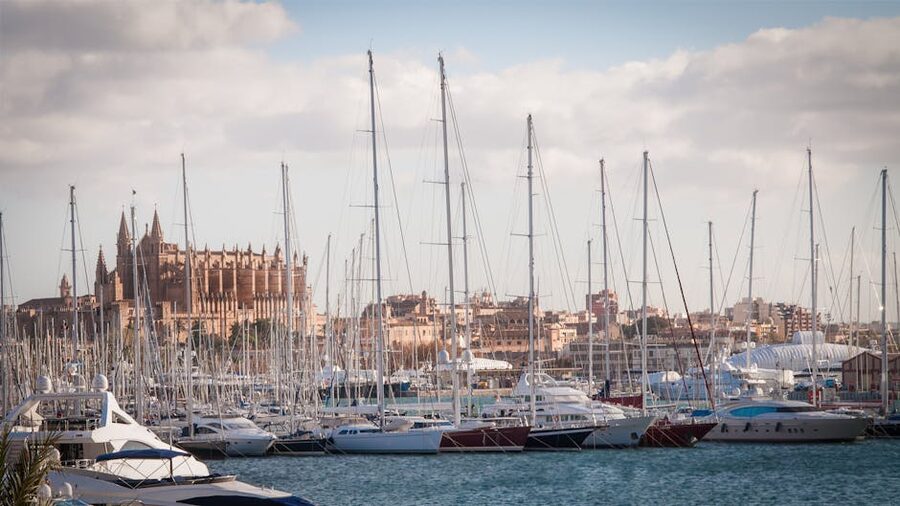 Palma marina with yachts and the cathedral behind