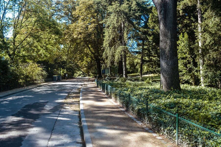 Tree-lined path through a Paris park