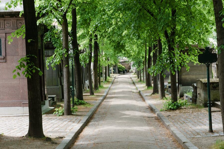 Tree-lined cobblestone path inside Pere Lachaise Cemetery Paris