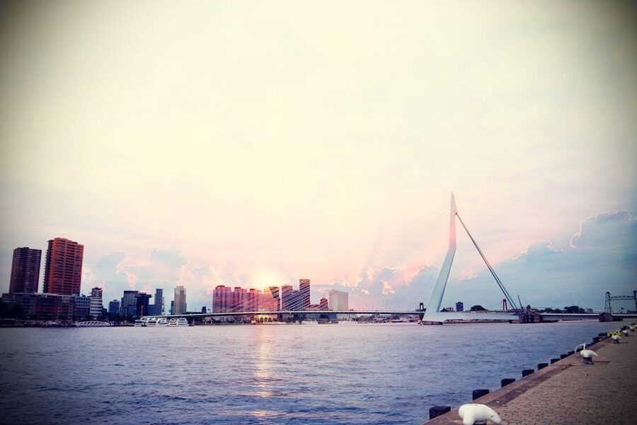 Rotterdam skyline from the water at sunset with the Erasmus Bridge silhouetted