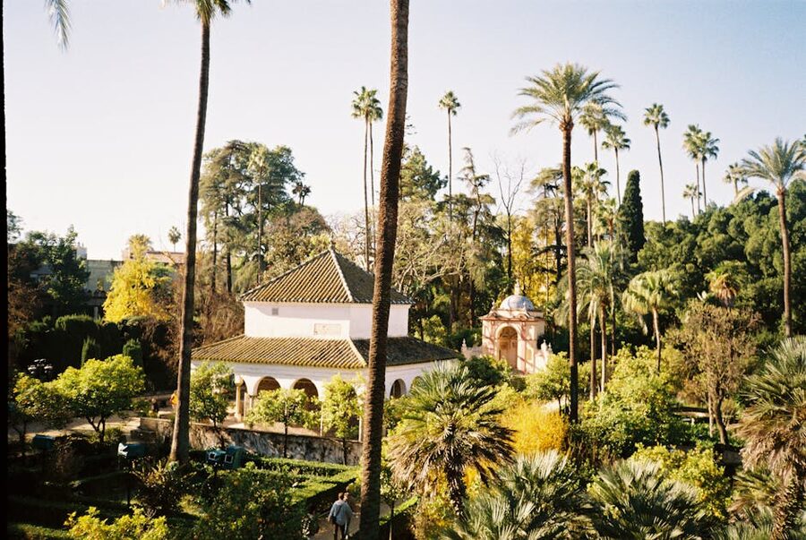 Alcazar of Seville gardens with tall palms