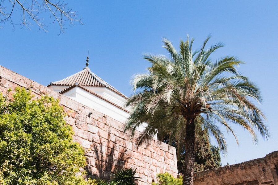 Alcazar Seville with palm trees