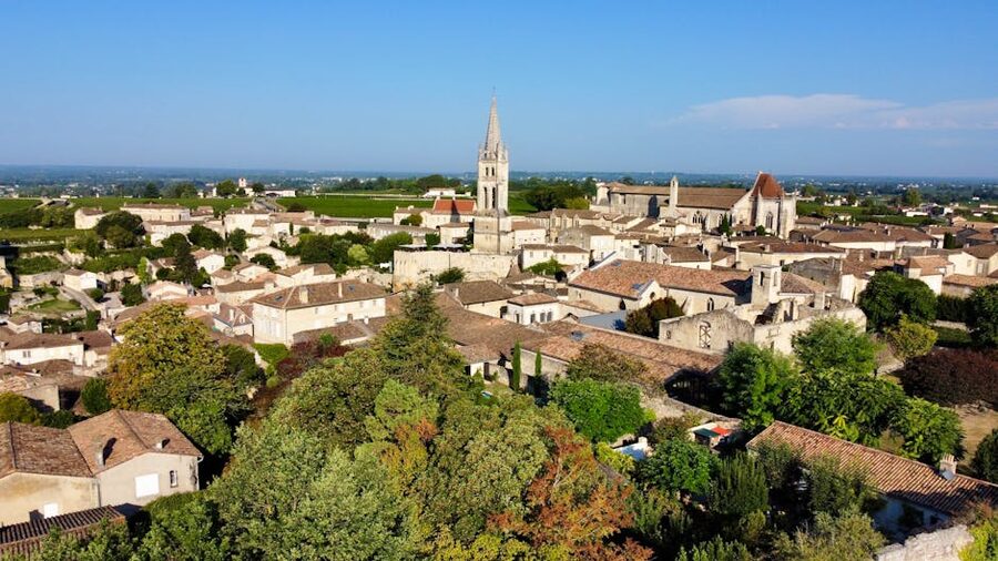 Aerial view of Saint-Émilion with surrounding vineyards