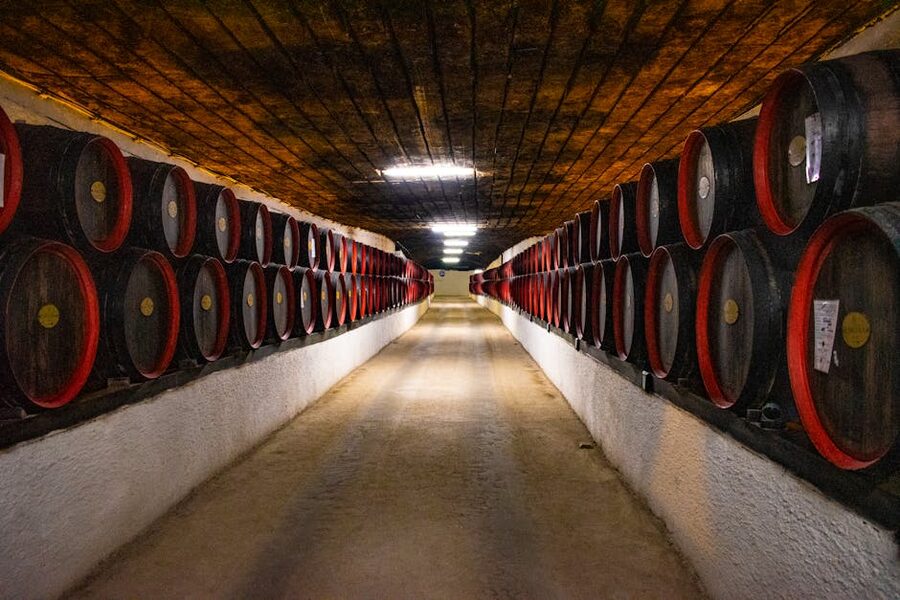 Long corridor of oak wine barrels in an underground cellar
