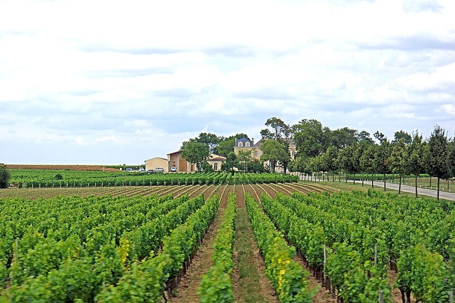 Château Soutard, an 18th-century Saint-Émilion Grand Cru Classé estate