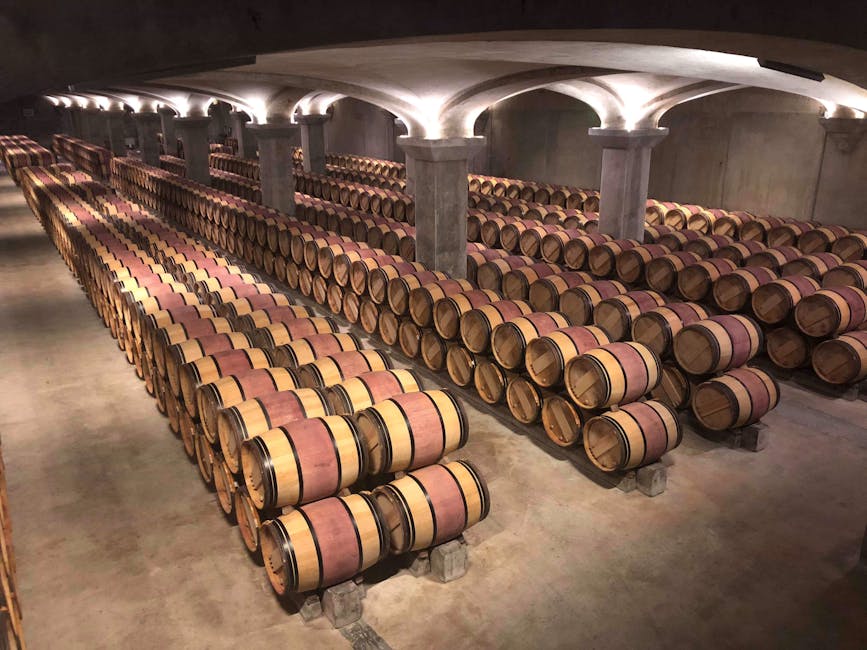 Wine barrels aging in a Bordeaux winery cellar