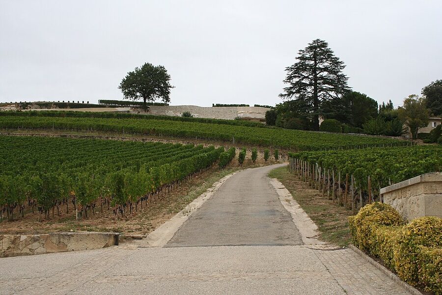 Vineyards of Château Pavie, Premier Grand Cru Classé A