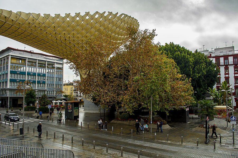 Plaza de la Encarnacion food market underneath Setas de Sevilla