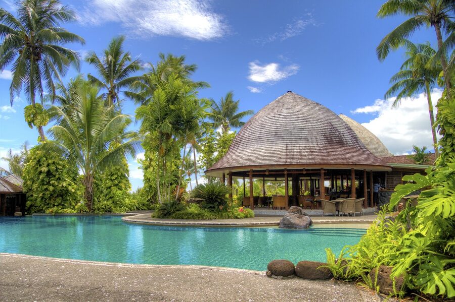 Tropical pool with palm trees