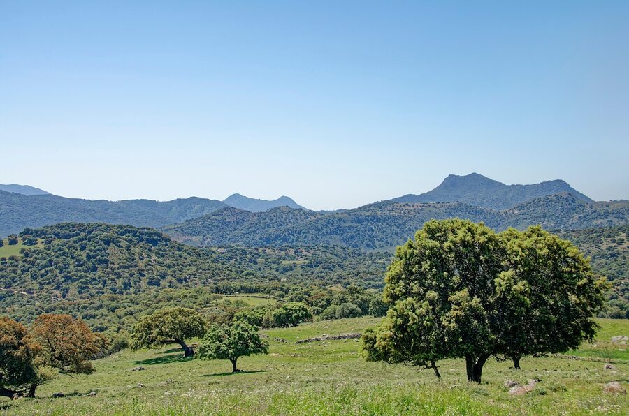 Sierra de Grazalema Nature Park landscape mountains