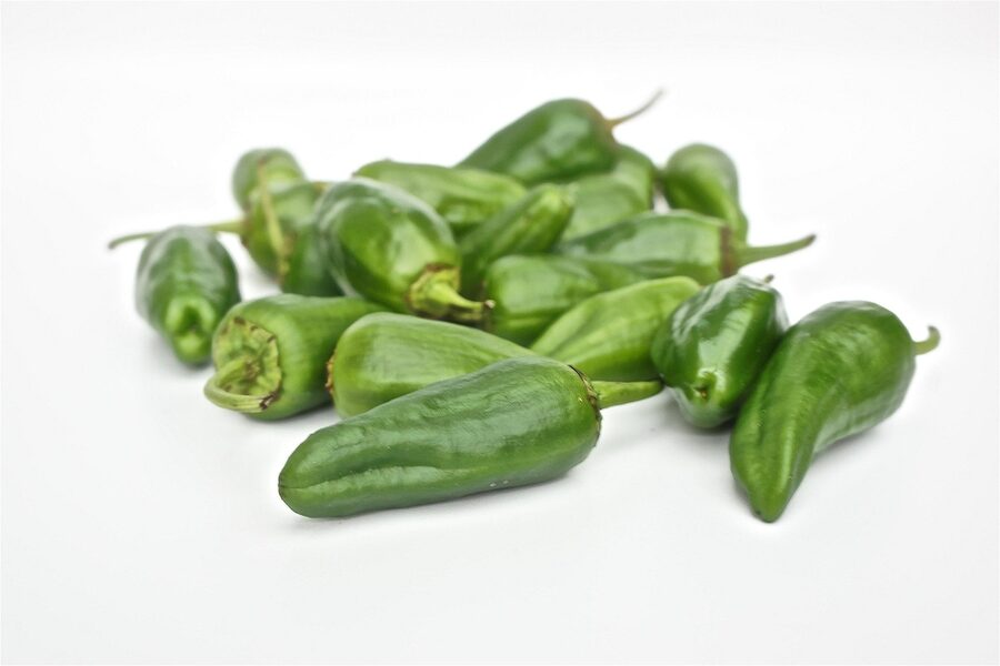 Pimientos de Padron, blistered Spanish peppers