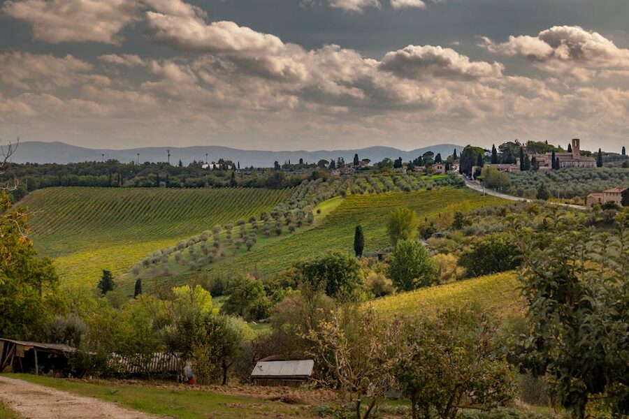 Rolling Tuscan hills with vineyards and a hilltop village