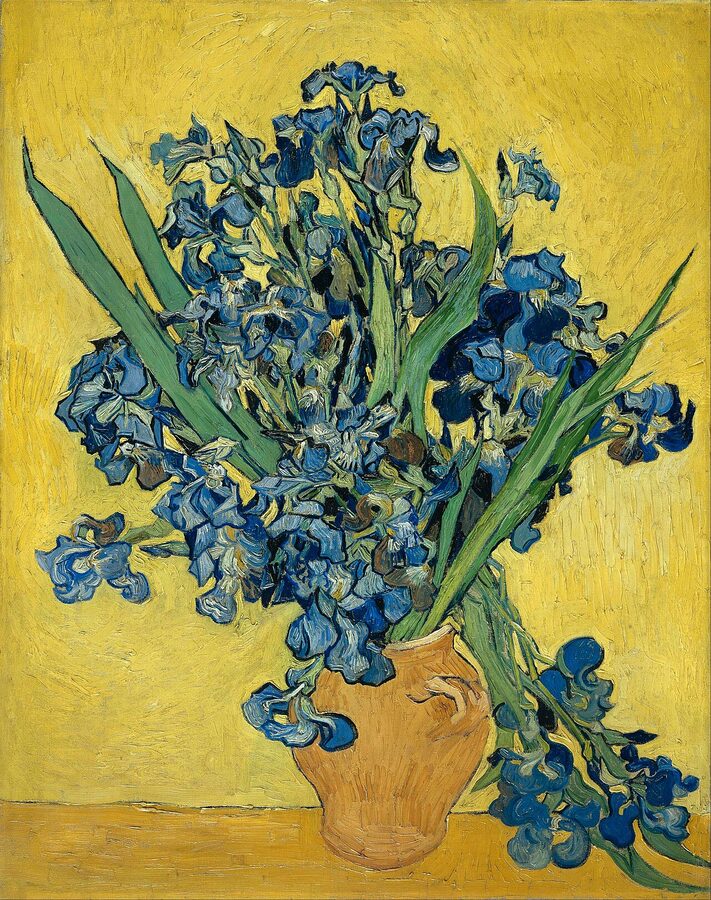Van Gogh Irises 1890 Saint-Remy painting at Van Gogh Museum