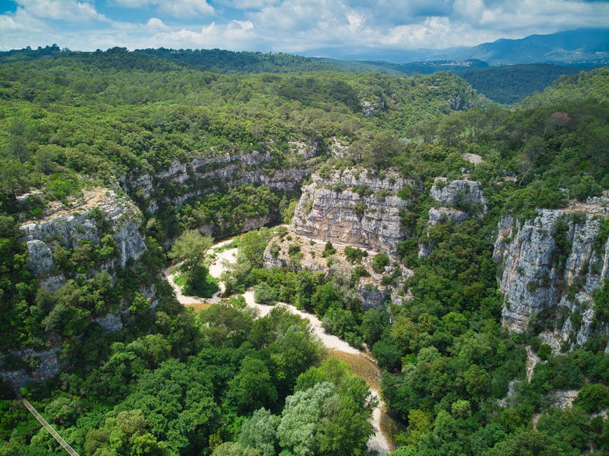 Aerial view of Verdon Gorge canyon walls and turquoise river