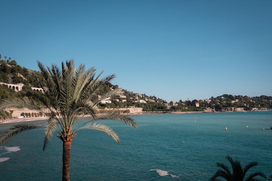 Villefranche beach with palm tree and Mediterranean view