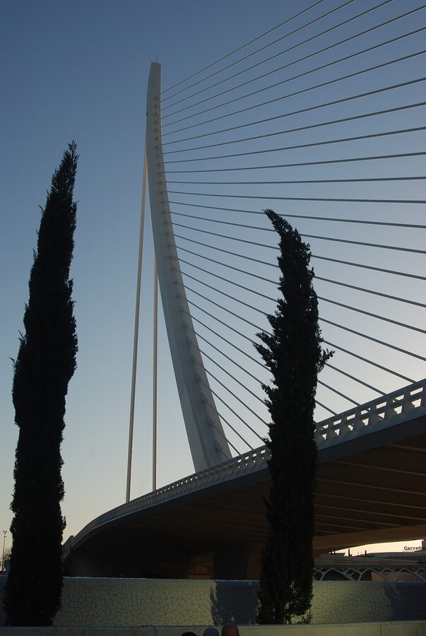 Felix Candela's hyperbolic concrete roof at Oceanografic Valencia
